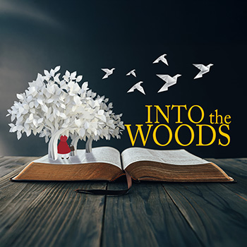 Into the Woods