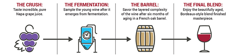 A four-step winemaking graphic showing icons and brief descriptions: a cluster of grapes labeled ‘The Crush,’ a fermentation tank labeled ‘The Fermentation,’ a wooden barrel labeled ‘The Barrel,’ and a glass of red wine labeled ‘The Final Blend.’ Arrows connect each step from grapes to finished wine.