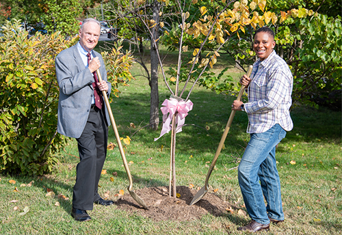 Tree Planting