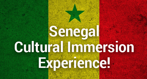 Graphic featuring the flag of Senegal as a textured background with large white text reading, ‘Senegal Cultural Immersion Experience!'