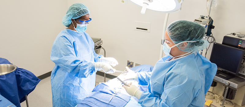 Two surgical technologists in blue sterile gowns, masks, and caps assist with a procedure in a brightly lit operating room.